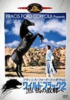 ワイルド・ブラック２／黒い馬の故郷へ