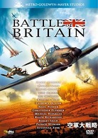 空軍大戦略
