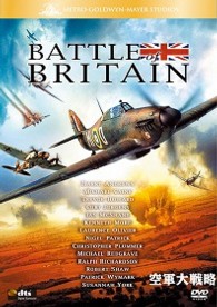 空軍大戦略