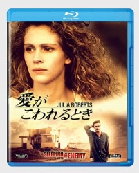 愛がこわれるとき Ｂｌｕ－ｒａｙ　Ｄｉｓｃ