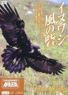 イヌワシ　風の砦