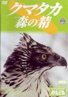 クマタカ　森の精