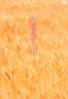 北の国から　Ｖｏｌ．１１