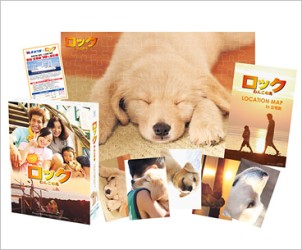 ロック　～わんこの島～　ブルーレイ＆ＤＶＤツインパック　プレミアム・エディション【初回限定版】 Ｂｌｕ－ｒａｙ　Ｄｉｓｃ