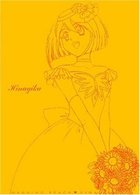 愛天使伝説ウェディングピーチ　ＤＶＤ　ＢＯＸ（２）