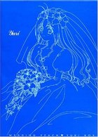 愛天使伝説ウェディングピーチ　ＤＶＤ　ＢＯＸ（３）
