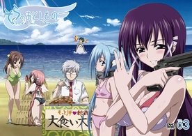 そらのおとしもの　限定版　第３巻