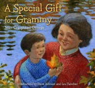 A Special Gift for Grammy