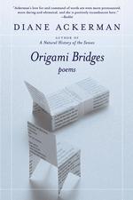 Origami Bridges （Reprint）