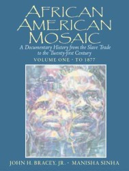 African Americans Mosaic (2-Volume Set) : A Documentary History from the Slave Trade to the Twenty-First Century 〈1〉