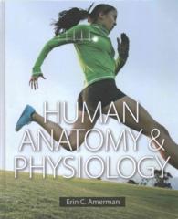 Human Anatomy & Physiology （PCK CSM HA）