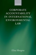 国際環境法における企業のアカウンタビリティ<br>Corporate Accountability in International Environmental Law