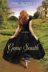 Gone South : A Novel