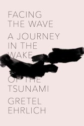 Facing the Wave : A Journey in the Wake of the Tsunami （1ST）
