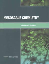 Mesoscale Chemistry : A Workshop Summary