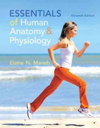 Essentials of Human Anatomy & Physiology （11 PCK PAP）