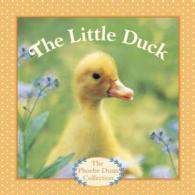 The Little Duck (Phoebe Dunn) （BRDBK）