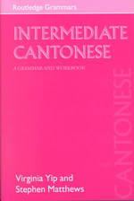 広東語文法<br>Intermediate Cantonese : A Grammar and Workbook (Routledgegrammars)