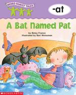 A Bat Named Pat (Word Family Tales)