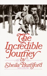The Incredible Journey （Reissue）