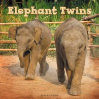 Elephant Twins (Penguin Core Concepts)