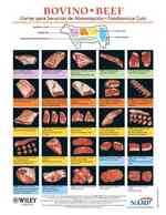Bovino / Beef : Cortes Para Servicios De Alimentacion / Foodservice Cuts （CHRT BLG）