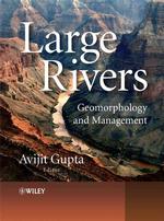 大河川<br>Large Rivers : Geomorphology and Management