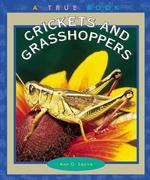 Crickets and Grasshoppers