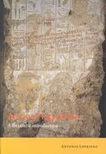 Ancient Egyptian : A Linguistic Introduction