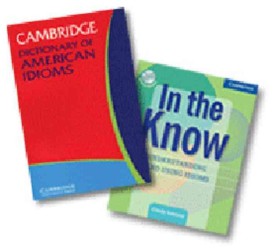 In the Know : Understanding and Using Idioms （50 PCK ANV）