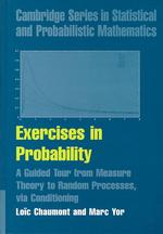 Exercises in Probability : A Guided Tour from Measure Theory to Random Processes, Via Conditioning