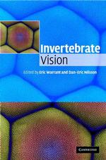 無脊椎動物の視覚<br>Invertebrate Vision （1ST）