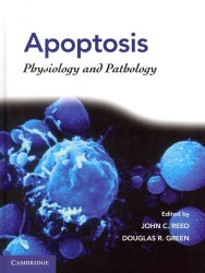 Apoptosis : Physiology and Pathology