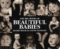 Big Book of Beautiful Babies Board Book （BRDBK）