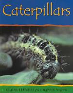 Caterpillars (Minibeasts)