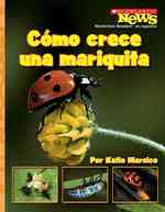 Como crece una mariquita / a Ladybug Larva Grows Up (Scholastic News Nonfiction Readers En Espanol)