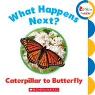 What Happens Next? Caterpillar to Butterfly (Rookie Toddler) （BRDBK）