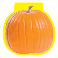 Pumpkin Note Pads
