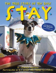 Stay : The True Story of Ten Dogs