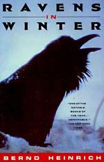 Ravens in Winter （Reprint）