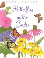 Butterflies in the Garden （1ST）