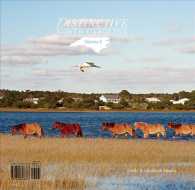 Distinctive North Carolina 〈2〉