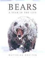 Bears: A Year in the Life