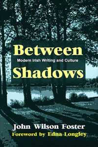 Between Shadows : Modern Irish Writing and Culture