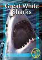 Great White Sharks (Predators in the Wild)