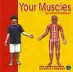 Your Muscles