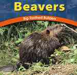 Beavers : Big-Toothed Builders (Wild World of Animals)