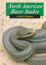 North American Racer Snakes (Snakes)