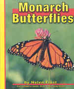 Monarch Butterflies