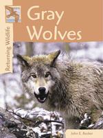 Gray Wolves (Returning Wildlife)